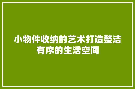 小物件收纳的艺术打造整洁有序的生活空间 网站优化