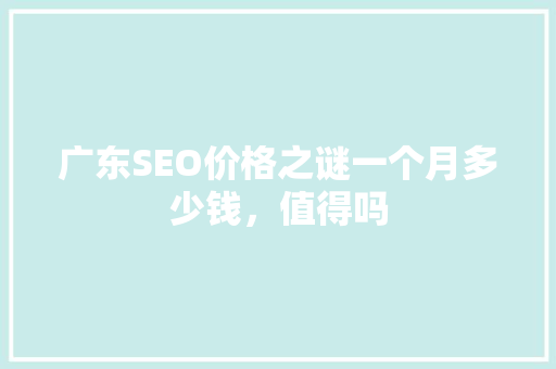 广东SEO价格之谜一个月多少钱，值得吗