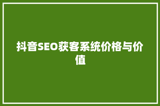 抖音SEO获客系统价格与价值