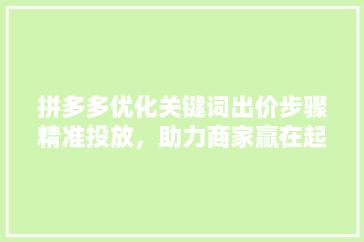 拼多多优化关键词出价步骤精准投放，助力商家赢在起跑线 网站开发