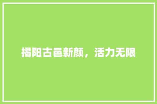 揭阳古邑新颜，活力无限