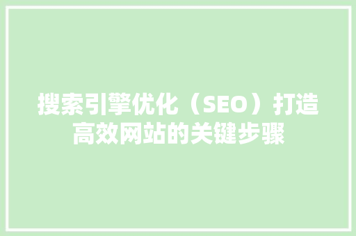 搜索引擎优化（SEO）打造高效网站的关键步骤