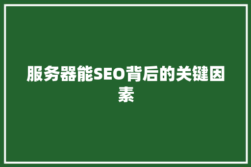 服务器能SEO背后的关键因素 英文谷歌算法