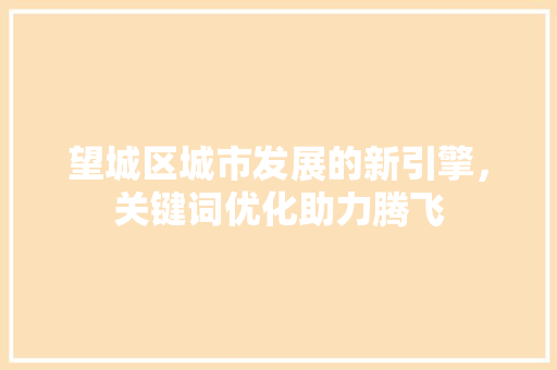 望城区城市发展的新引擎，关键词优化助力腾飞 百度算法