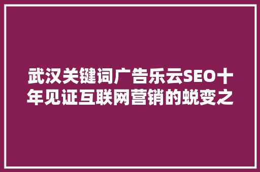 武汉关键词广告乐云SEO十年见证互联网营销的蜕变之路