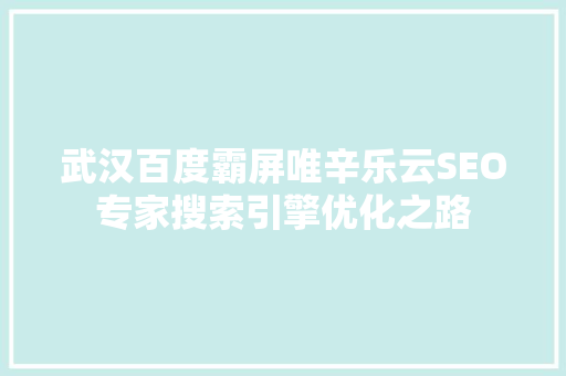 武汉百度霸屏唯辛乐云SEO专家搜索引擎优化之路