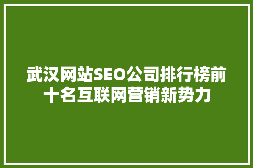 武汉网站SEO公司排行榜前十名互联网营销新势力