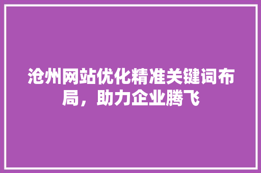 沧州网站优化精准关键词布局，助力企业腾飞 英文谷歌算法