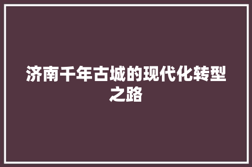 济南千年古城的现代化转型之路 百度算法