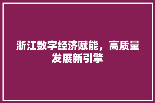 浙江数字经济赋能，高质量发展新引擎