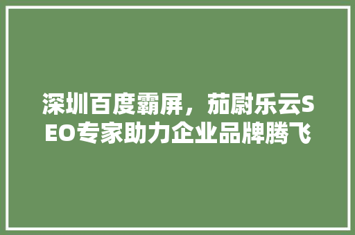 深圳百度霸屏，茄尉乐云SEO专家助力企业品牌腾飞 百度算法