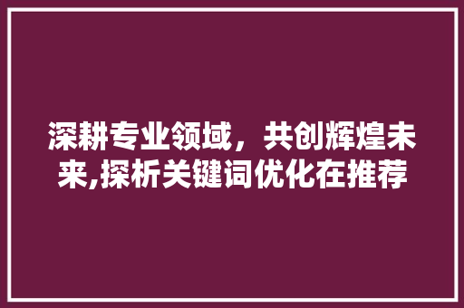 深耕专业领域，共创辉煌未来,探析关键词优化在推荐公司中的应用