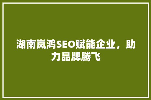 湖南岚鸿SEO赋能企业，助力品牌腾飞