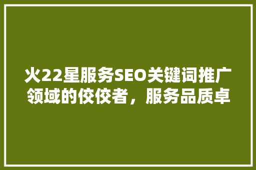 火22星服务SEO关键词推广领域的佼佼者，服务品质卓越