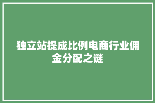 独立站提成比例电商行业佣金分配之谜