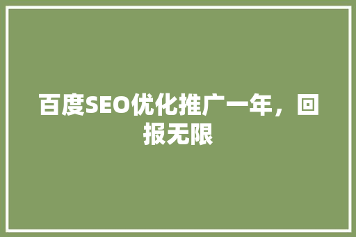 百度SEO优化推广一年，回报无限