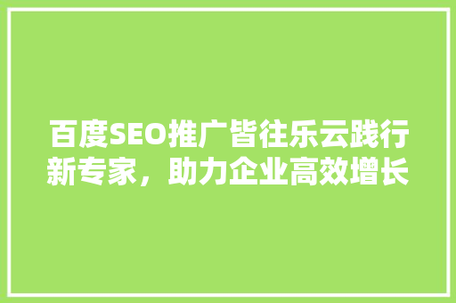 百度SEO推广皆往乐云践行新专家，助力企业高效增长