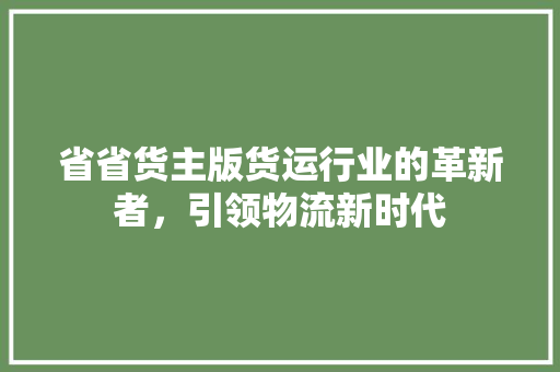 省省货主版货运行业的革新者，引领物流新时代