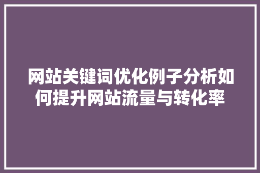 网站关键词优化例子分析如何提升网站流量与转化率
