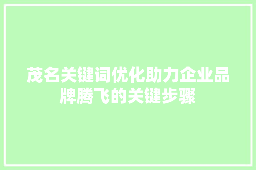 茂名关键词优化助力企业品牌腾飞的关键步骤