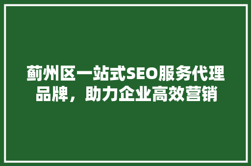 蓟州区一站式SEO服务代理品牌，助力企业高效营销