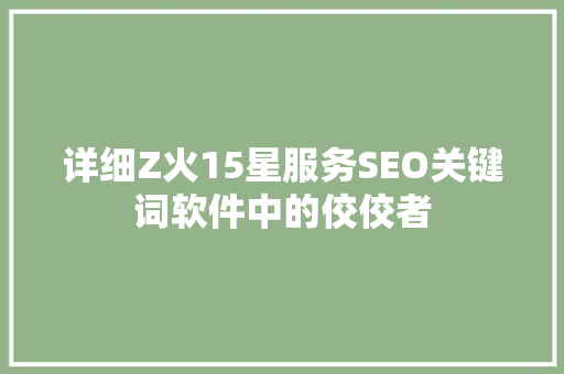 详细Z火15星服务SEO关键词软件中的佼佼者