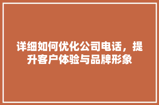 详细如何优化公司电话，提升客户体验与品牌形象