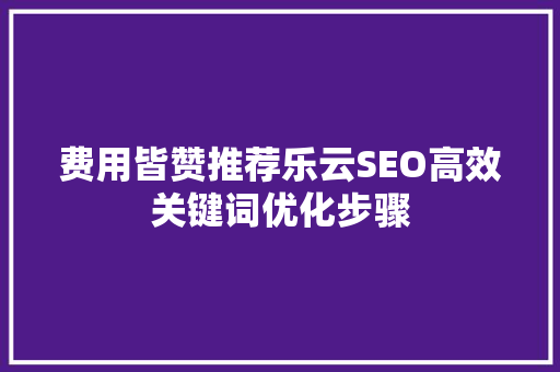 费用皆赞推荐乐云SEO高效关键词优化步骤 seo技术