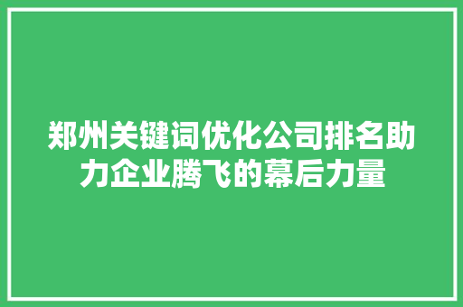 郑州关键词优化公司排名助力企业腾飞的幕后力量