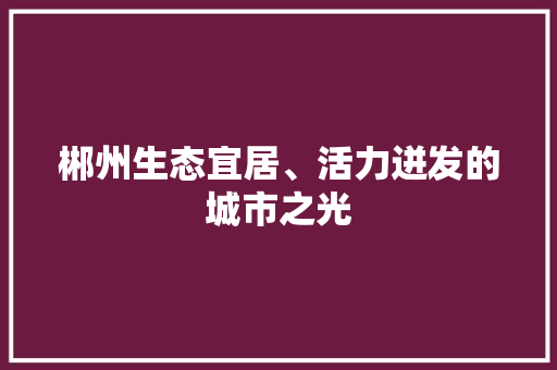 郴州生态宜居、活力迸发的城市之光