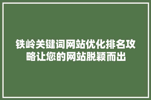 铁岭关键词网站优化排名攻略让您的网站脱颖而出