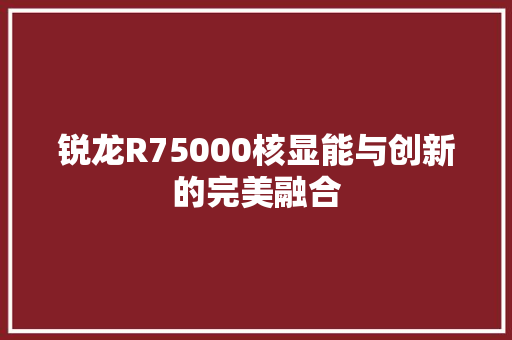 锐龙R75000核显能与创新的完美融合 网站优化