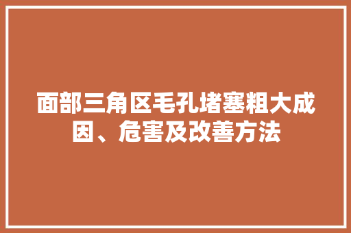 面部三角区毛孔堵塞粗大成因、危害及改善方法
