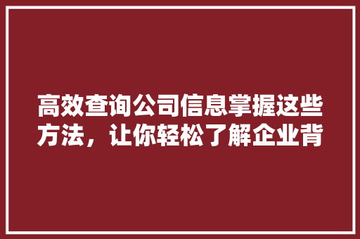 高效查询公司信息掌握这些方法，让你轻松了解企业背景