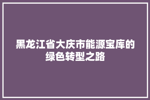黑龙江省大庆市能源宝库的绿色转型之路
