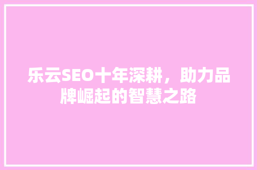 乐云SEO十年深耕，助力品牌崛起的智慧之路
