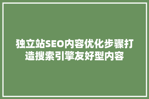 独立站SEO内容优化步骤打造搜索引擎友好型内容