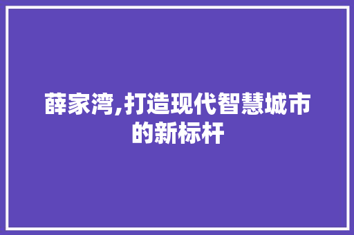 薛家湾,打造现代智慧城市的新标杆 薛家湾,打造现代智慧城市的新标杆 小程序开发