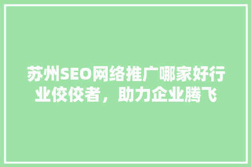 苏州SEO网络推广哪家好行业佼佼者，助力企业腾飞