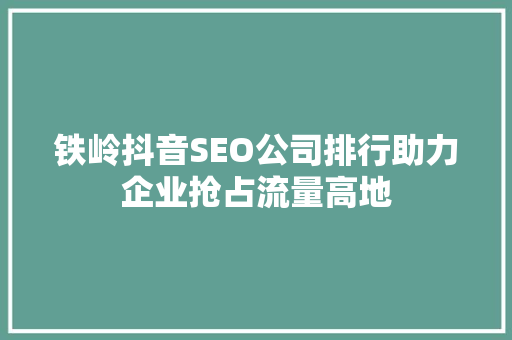 铁岭抖音SEO公司排行助力企业抢占流量高地