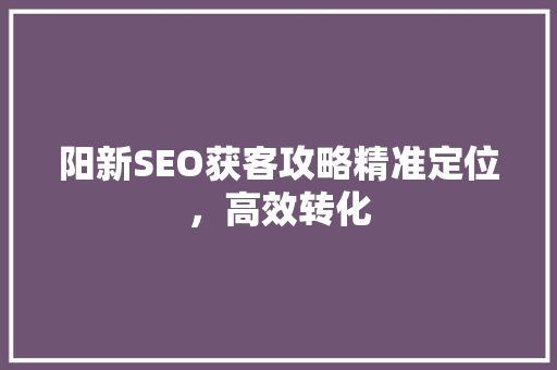 阳新SEO获客攻略精准定位，高效转化