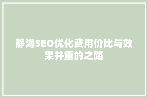 静海SEO优化费用价比与效果并重的之路