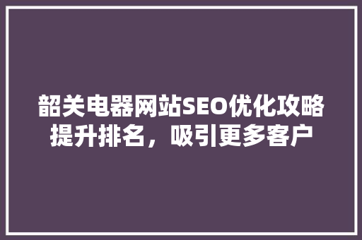 韶关电器网站SEO优化攻略提升排名，吸引更多客户