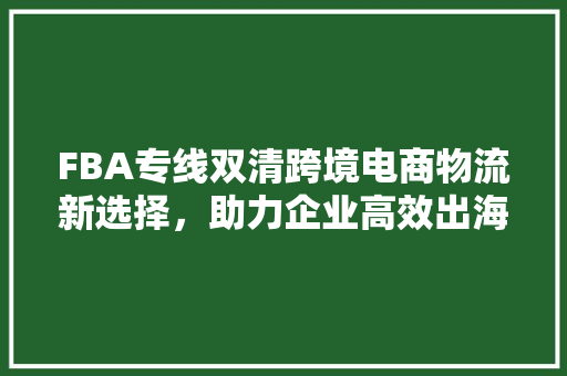 FBA专线双清跨境电商物流新选择，助力企业高效出海