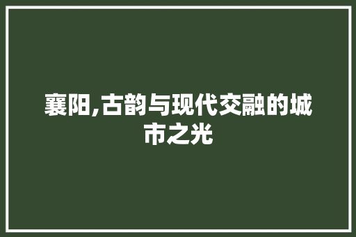 襄阳,古韵与现代交融的城市之光