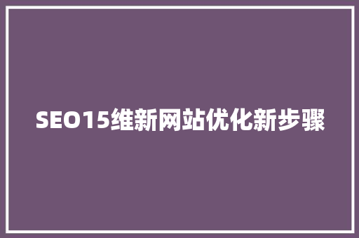 SEO15维新网站优化新步骤 seo技术