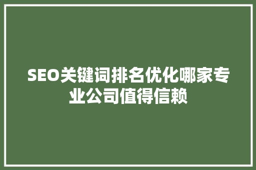 SEO关键词排名优化哪家专业公司值得信赖