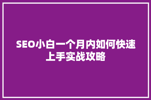 SEO小白一个月内如何快速上手实战攻略 网站开发