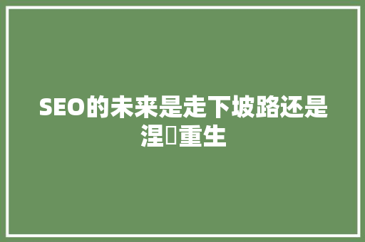 SEO的未来是走下坡路还是涅槃重生 英文谷歌算法