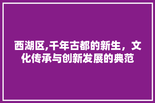 西湖区,千年古都的新生，文化传承与创新发展的典范